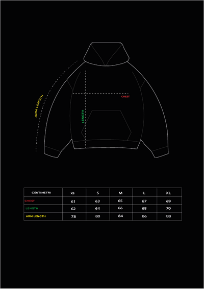 LIGHTNING EMBROIDERED HOODIE