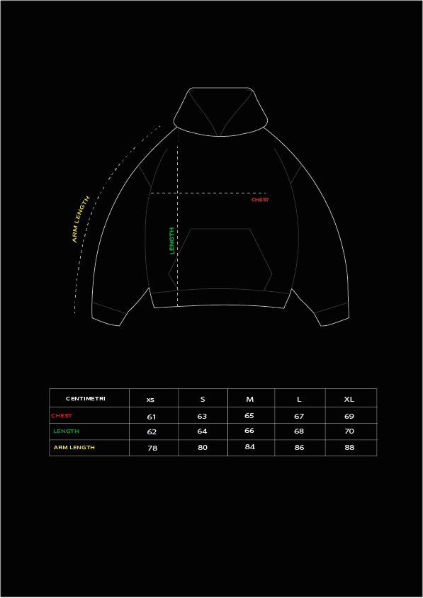 LIGHTNING EMBROIDERED HOODIE